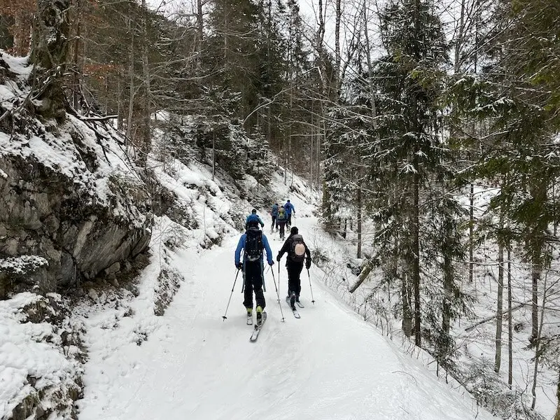 Aufstieg auf der Forststraße | © Peter Langenbacher 2025