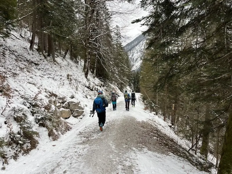 Eine der Übungseinheiten An- & Abschnallen der Ski auf der Forststraße | © Peter Langenbacher 2025