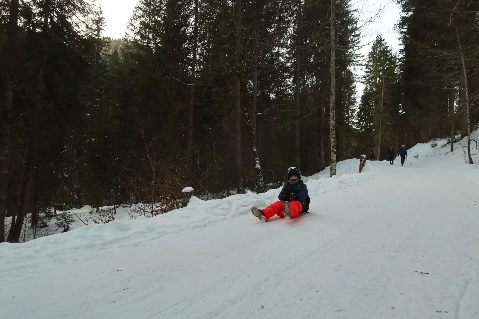 Schlittenfahren Kletter- und Bouldergruppe 2025 | © DAV Markt Schwaben | Foto Christian Huber