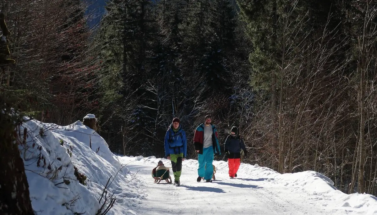 Schlittenfahren Kletter- und Bouldergruppe 2025 | © DAV Markt Schwaben | Foto Christian Huber