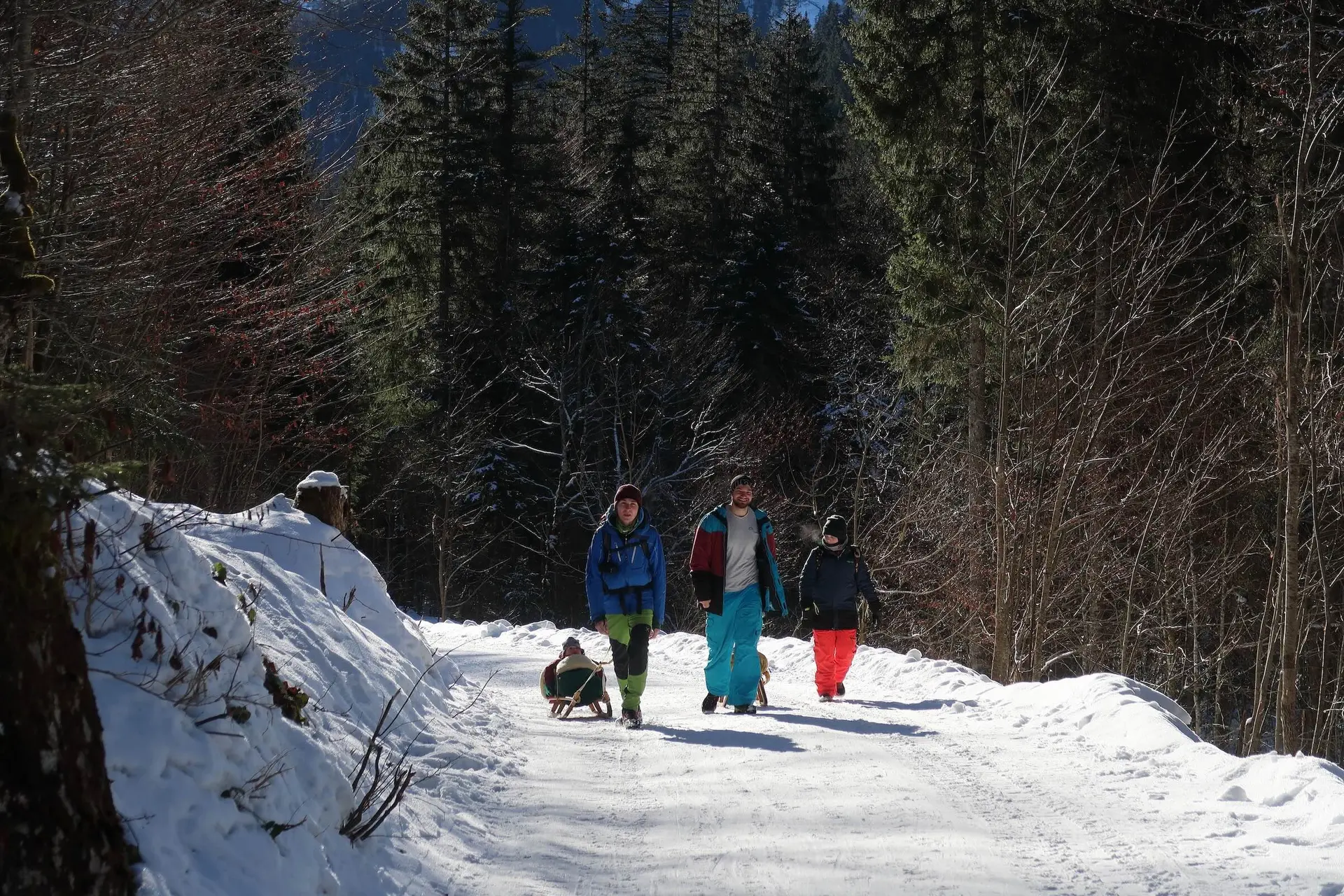 Schlittenfahren Kletter- und Bouldergruppe 2025 | © DAV Markt Schwaben | Foto Christian Huber