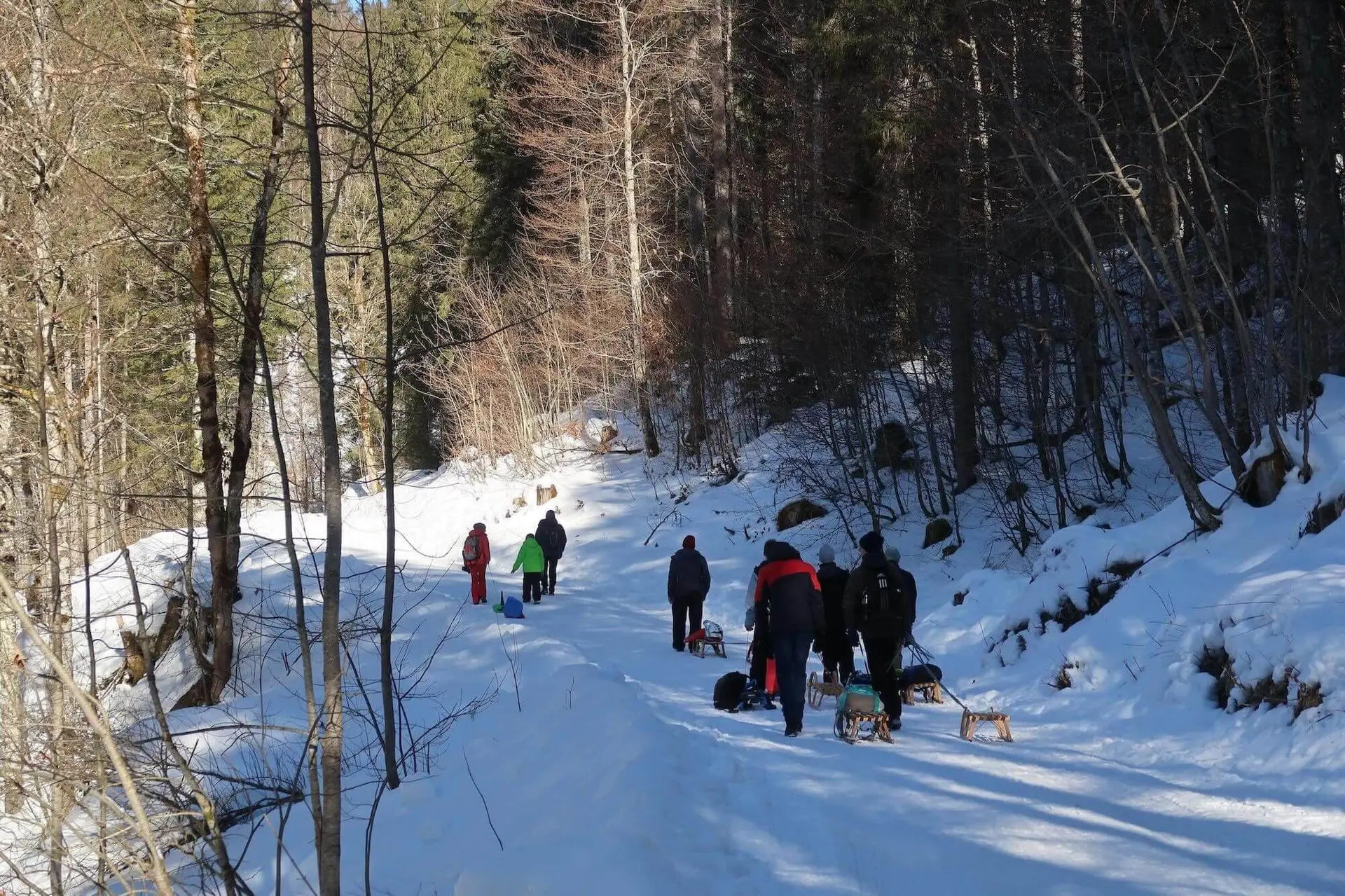 Schlittenfahren Kletter- und Bouldergruppe 2025 | © DAV Markt Schwaben | Foto Christian Huber