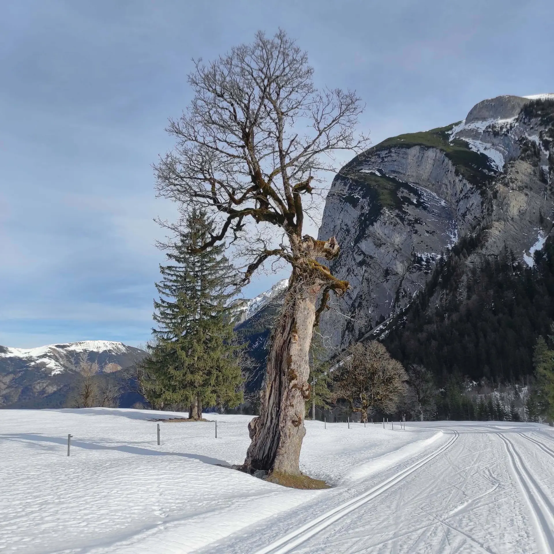 Karwendelloipe | © DAV Markt Schwaben | Jacqueline Kästner