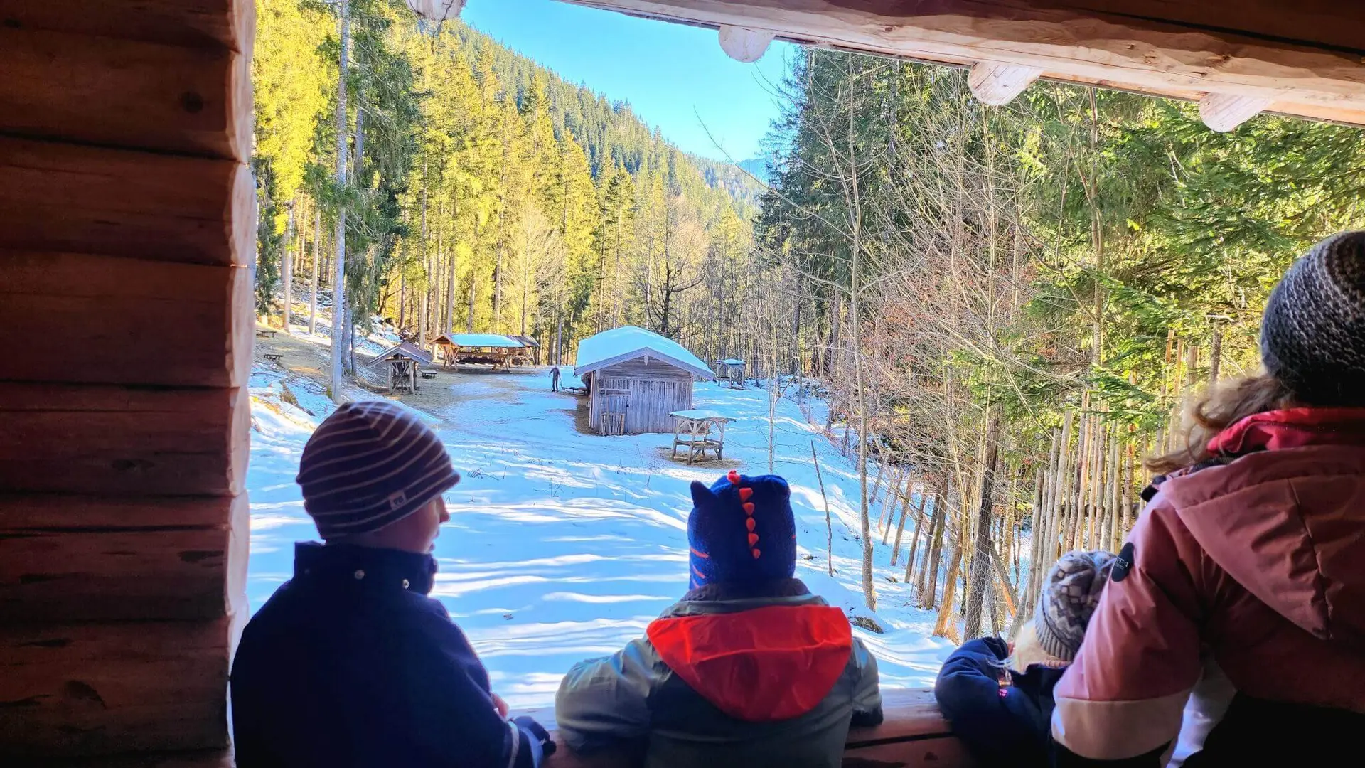 Drei Kinder und ein Erwachsener beobachten aufgeregt die Hirschfütterung aus der Ferne in einer verschneiten Waldlandschaft. | © DAV Markt Schwaben
