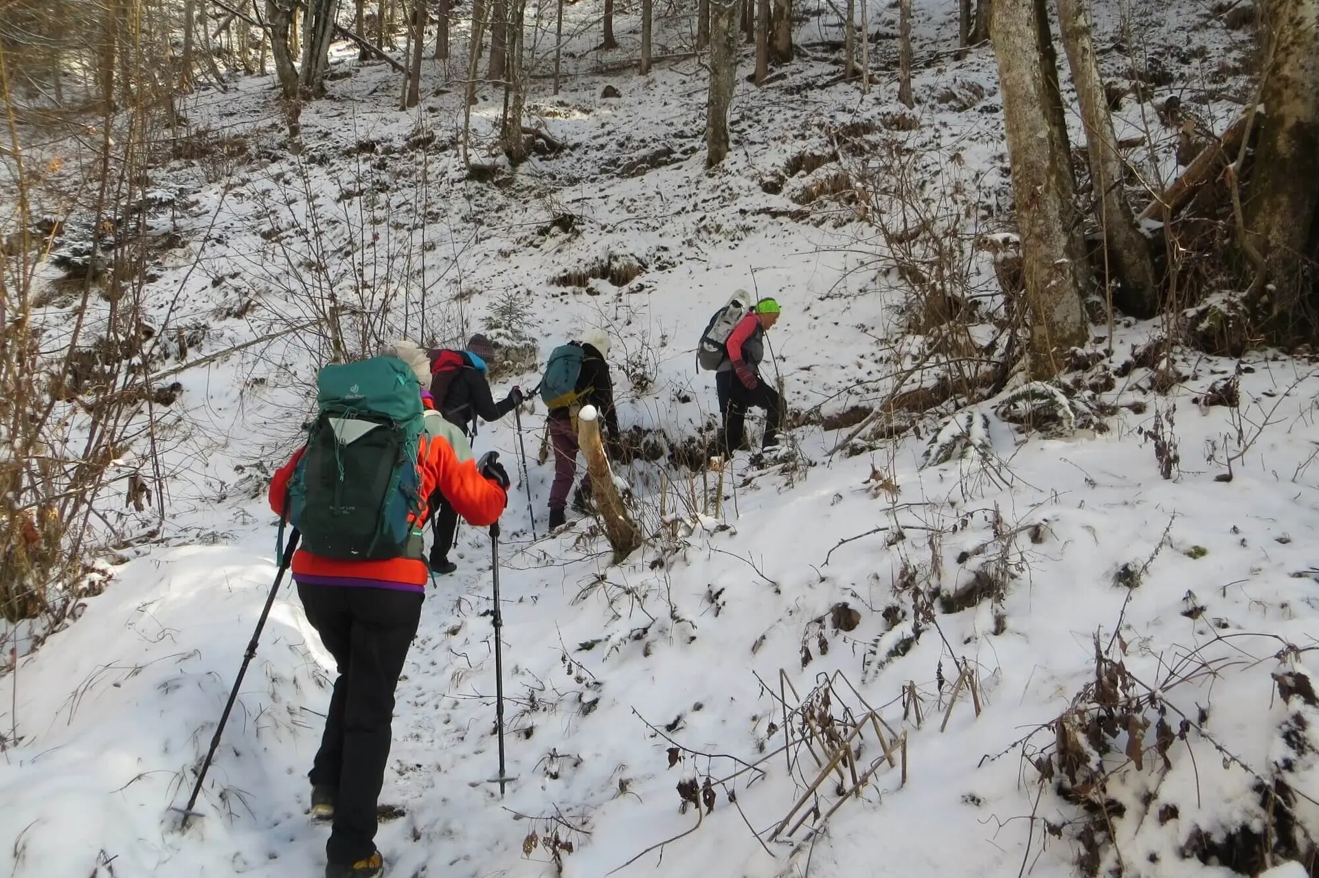 SPIRI Wanderung, Brennkopf | Aufsteig | © DAV Markt Schwaben | Foto Tanja Döhler