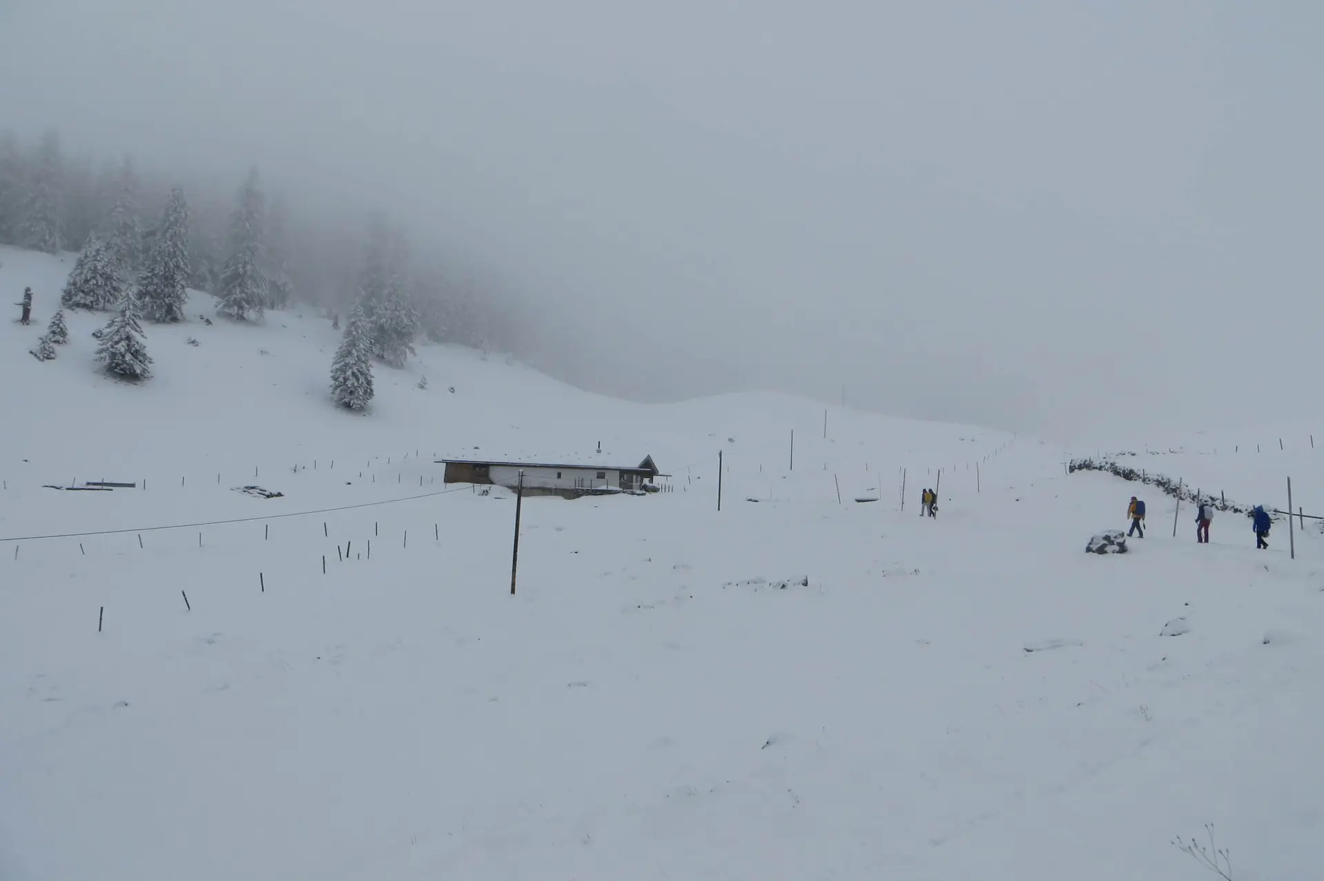 Wandergruppe im verschneiten Wald – frische Luft, Bewegung und Natur genießen auf winterlichem Pfad. | © DAV Markt Schwaben | Foto Gerlinde Hübl