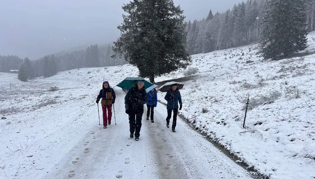 Vier Wanderer auf schneebedecktem Pfad, umgeben von Winterlandschaft – Schirme und Wanderstöcke im Einsatz. | © DAV Markt Schwaben | Foto W.K.