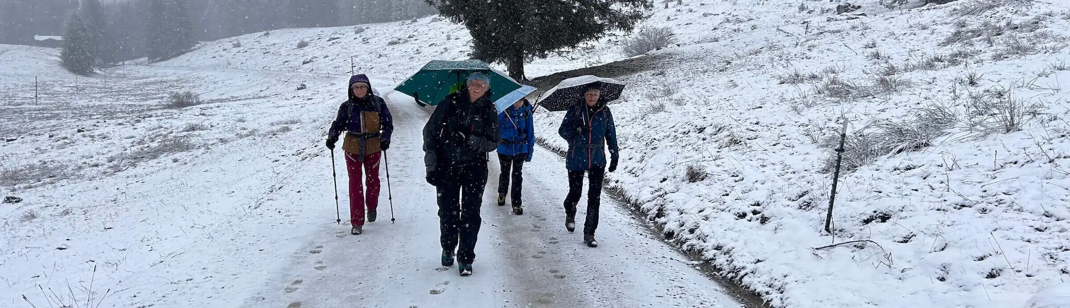 Vier Wanderer auf schneebedecktem Pfad, umgeben von Winterlandschaft – Schirme und Wanderstöcke im Einsatz. | © DAV Markt Schwaben | Foto W.K.