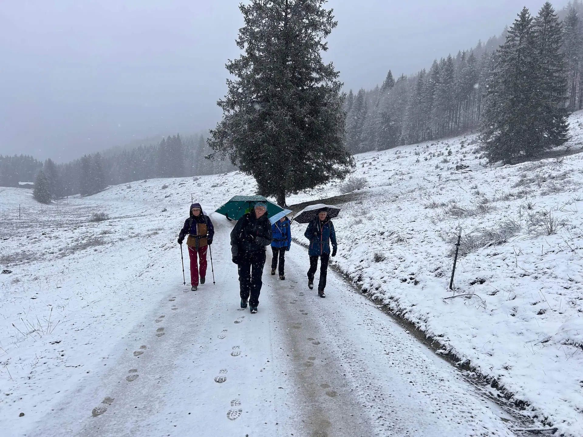 Vier Wanderer auf schneebedecktem Pfad, umgeben von Winterlandschaft – Schirme und Wanderstöcke im Einsatz. | © DAV Markt Schwaben | Foto W.K.