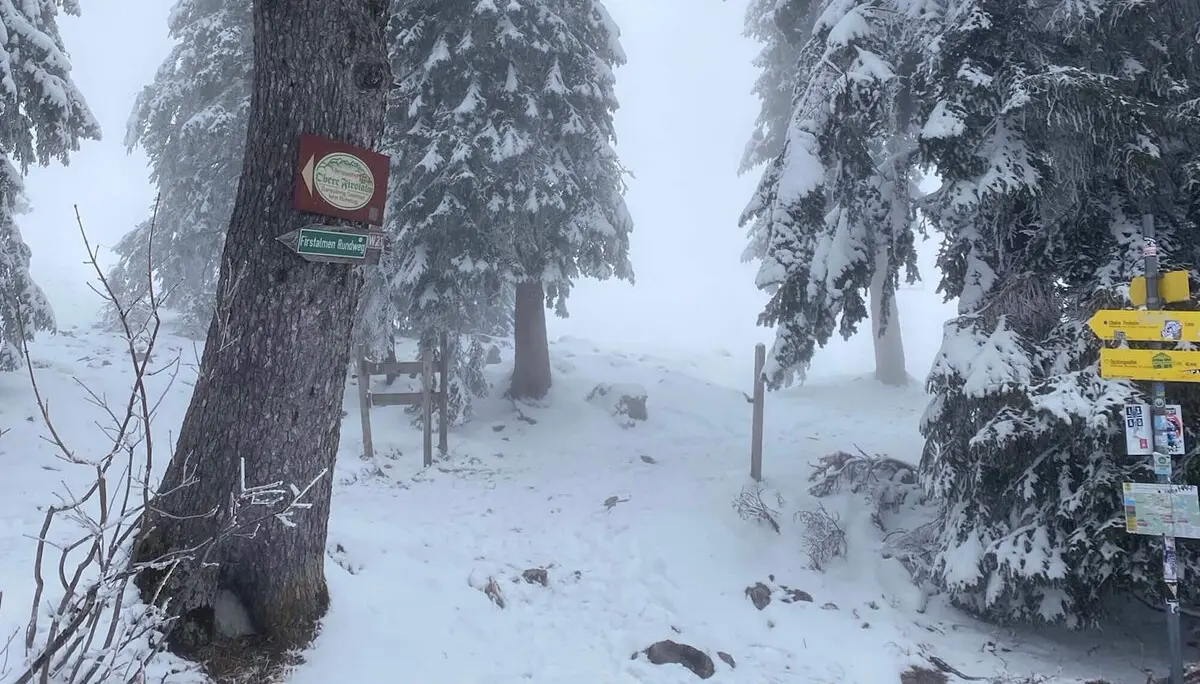 Wegweiser und Schilder im schneebedeckten Winterwald mit eingeschränkter Sicht und ruhiger Atmosphäre. | © DAV Markt Schwaben
