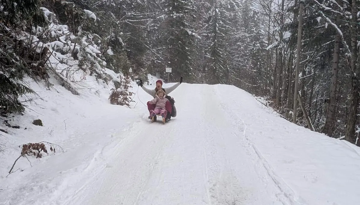 Zwei Personen rodeln auf einem schneebedeckten Waldweg, umgeben von verschneiten Bäumen und Büschen. | © DAV Markt Schwaben