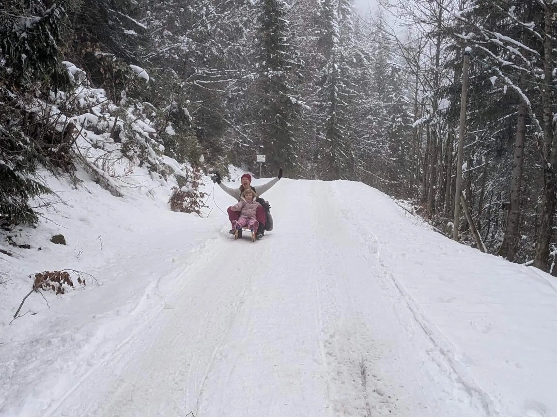 Zwei Personen rodeln auf einem schneebedeckten Waldweg, umgeben von verschneiten Bäumen und Büschen. | © DAV Markt Schwaben