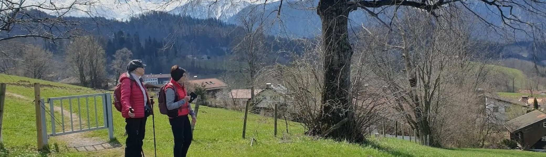 Zwei Personen mit Wanderstöcken stehen auf einer Wiese neben einem großen Baum, mit Blick auf ein Tal und schneebedeckte Berge im Hintergrund. Häuser sind verstreut in der Landschaft zu sehen. | © DAV Markt Schwaben | Foto Hubert Inhofer