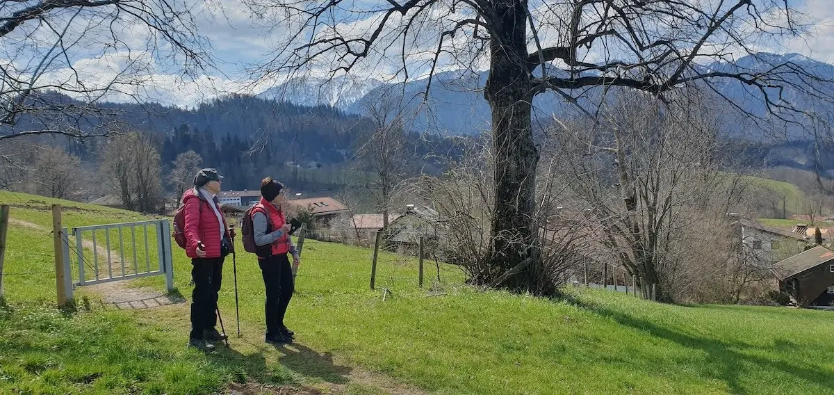Zwei Personen mit Wanderstöcken stehen auf einer Wiese neben einem großen Baum, mit Blick auf ein Tal und schneebedeckte Berge im Hintergrund. Häuser sind verstreut in der Landschaft zu sehen. | © DAV Markt Schwaben | Foto Hubert Inhofer