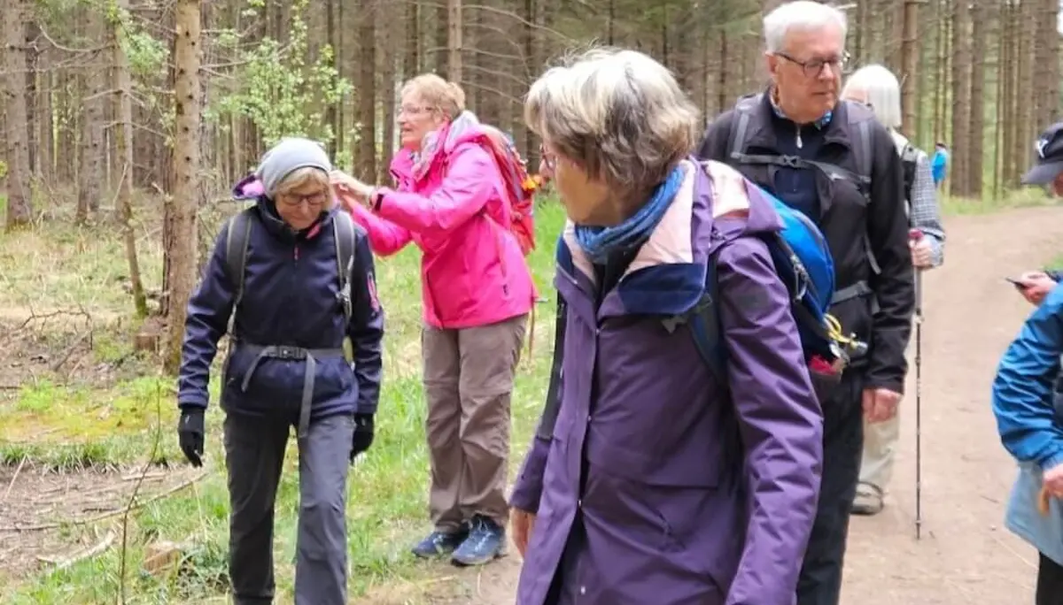 Senioren-Wandergruppe auf einem Waldweg. Mehrere Menschen in Outdoor-Kleidung genießen eine Wanderung durch einen Wald mit hohen Bäumen und viel Grün. | © DAV Markt Schwaben | Foto Hubert Inhofer