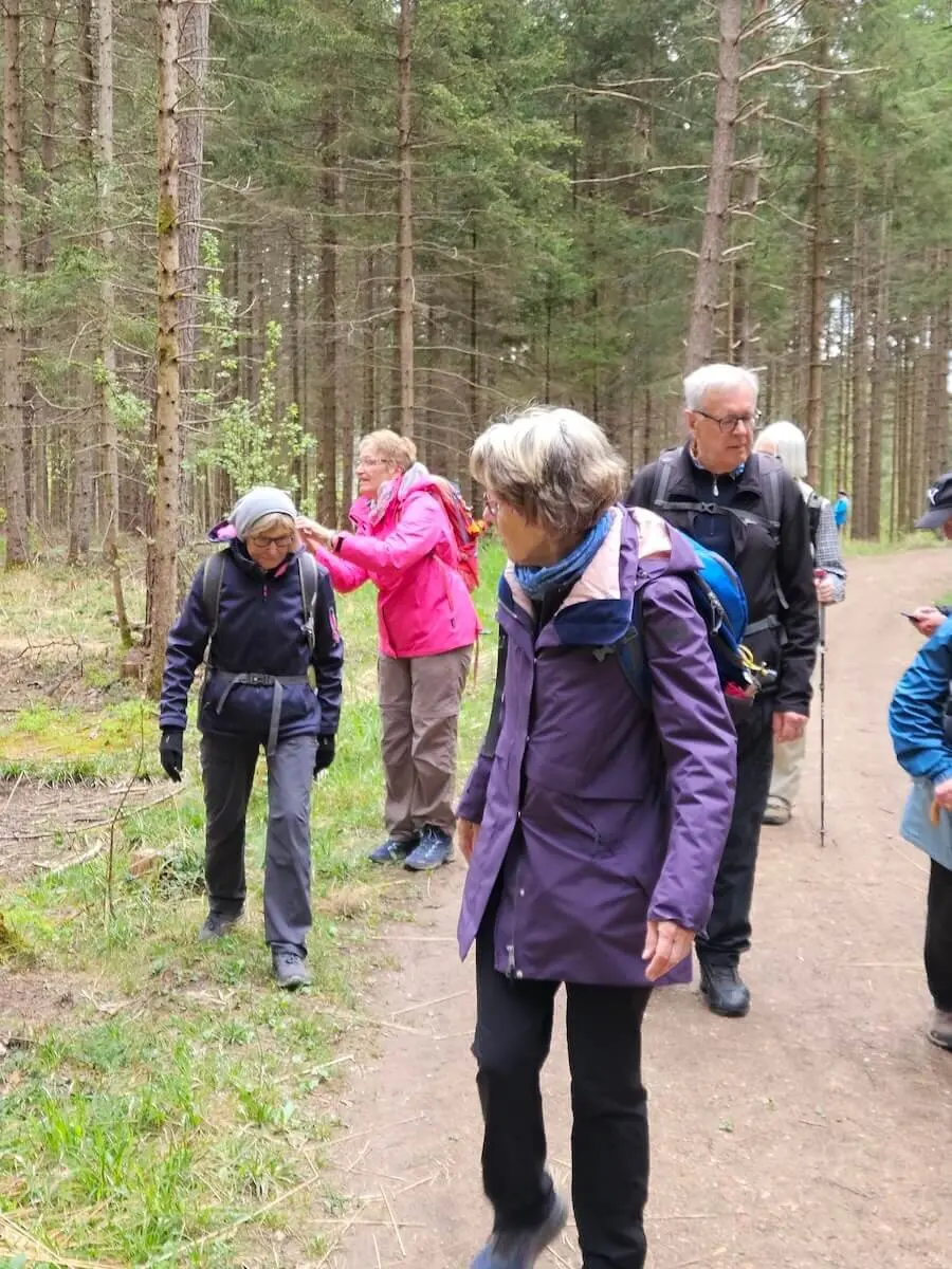 Senioren-Wandergruppe auf einem Waldweg. Mehrere Menschen in Outdoor-Kleidung genießen eine Wanderung durch einen Wald mit hohen Bäumen und viel Grün. | © DAV Markt Schwaben | Foto Hubert Inhofer