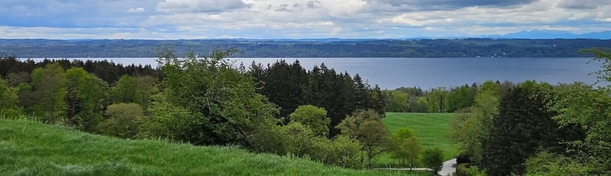 Landschaft mit Wiesen, Wald und Seeblick. Eine weite, grüne Wiese vor einem dichten Wald, dahinter ein großer See unter bewölktem Himmel. | © DAV Markt Schwaben | Foto Hubert Inhofer