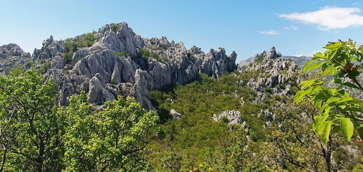 Graue Kalkfelsen ragen über einem grünen Wald empor; im Vordergrund Blätter, darüber blauer Himmel. | © DAV Markt Schwaben | Foto Karin und Peter Tkaczuk