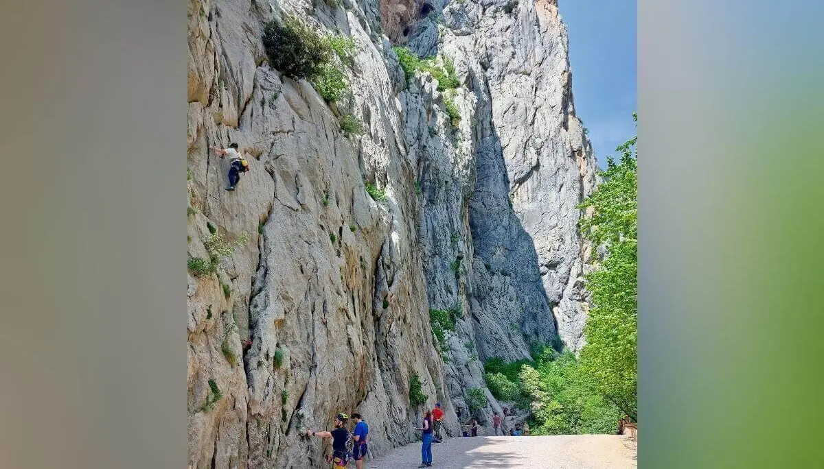 Eine Person klettert an einer hohen Felswand, andere stehen unten bereit; schroffe Felsen und Vegetation umgeben die Szene. | © DAV Markt Schwaben | Foto Lutz Gründel