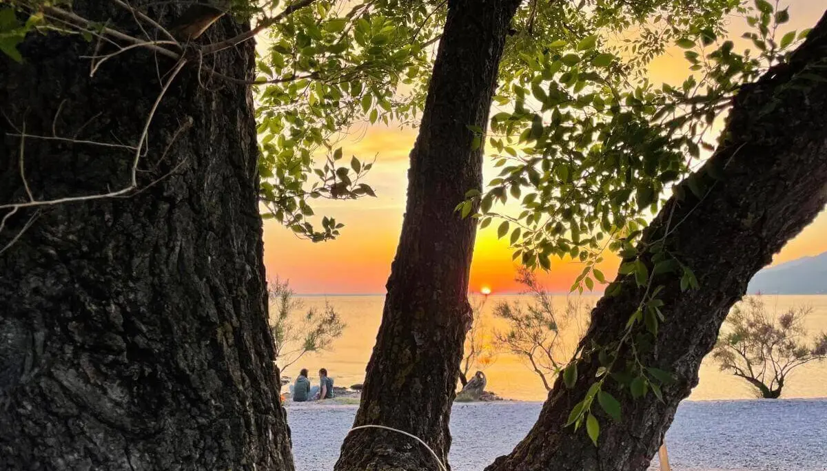 Drei Bäume rahmen den Blick auf den Sonnenuntergang über dem Wasser; Menschen sitzen am Ufer. | © DAV Markt Schwaben | Foto Sebastian Gründel