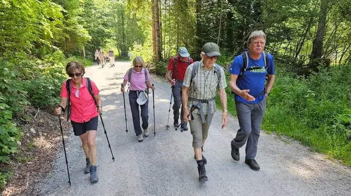 Seniorengruppe wandert auf Forstweg durch grünen Wald zur Buchsteinhütte (1260 m); gemeinsames Naturerlebnis im Fokus. | © DAV Markt Schwaben | Foto Hubert Inhofer