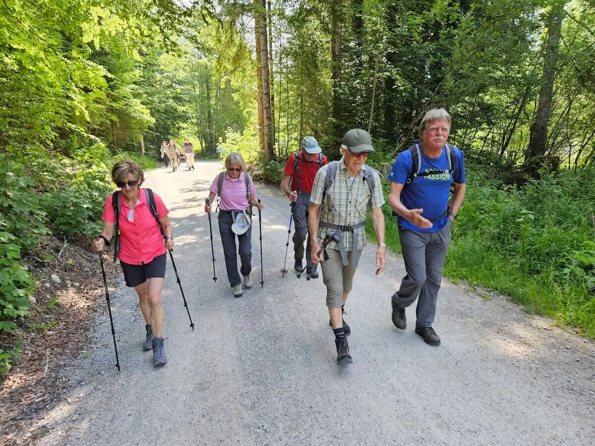 Seniorengruppe wandert auf Forstweg durch grünen Wald zur Buchsteinhütte (1260 m); gemeinsames Naturerlebnis im Fokus. | © DAV Markt Schwaben | Foto Hubert Inhofer