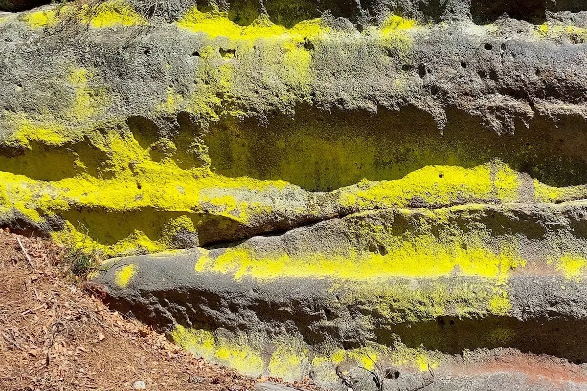 Felswand mit auffälligen gelben Ablagerungen, unten trockene Nadeln, Oberfläche rau und strukturiert. | © DAV Markt Schwaben | Foto Lutz Gründel
