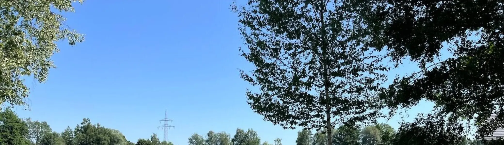 Kinder stehen am Ufer des Wiflinger Weihers, genießen die Natur nach einer gemeinsamen Radtour – ein sommerliches Familienabenteuer. | © DAV Markt Schwaben | Foto: Lara Wolff