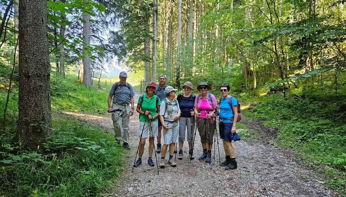 Sechs ältere Wanderer stehen mit Ausrüstung auf einem Waldpfad, umgeben von dichtem Grün und hohen Bäumen. | © DAV Markt Schwaben | Foto Hubert Inhofer