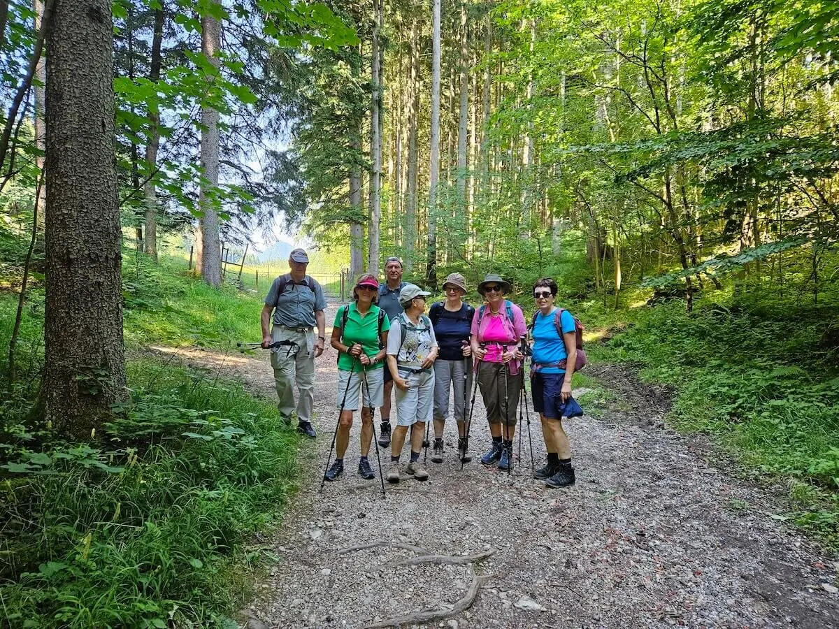 Sechs ältere Wanderer stehen mit Ausrüstung auf einem Waldpfad, umgeben von dichtem Grün und hohen Bäumen. | © DAV Markt Schwaben | Foto Hubert Inhofer