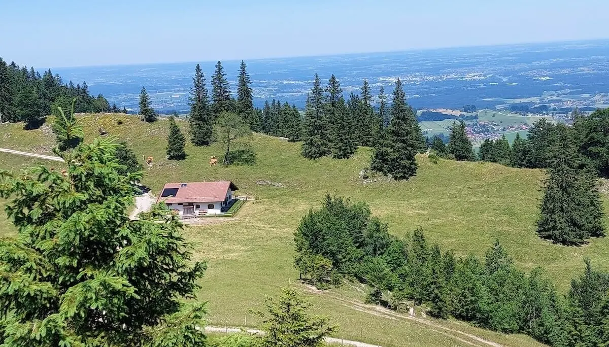 Eine grasbewachsene Alm mit Kühen, rotdachiger Hütte und Fernblick auf Wald, Felder und Stadt unter klarem Himmel. | © DAV Markt Schwaben | Foto Hubert Inhofer