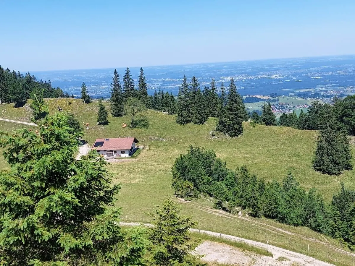 Eine grasbewachsene Alm mit Kühen, rotdachiger Hütte und Fernblick auf Wald, Felder und Stadt unter klarem Himmel. | © DAV Markt Schwaben | Foto Hubert Inhofer