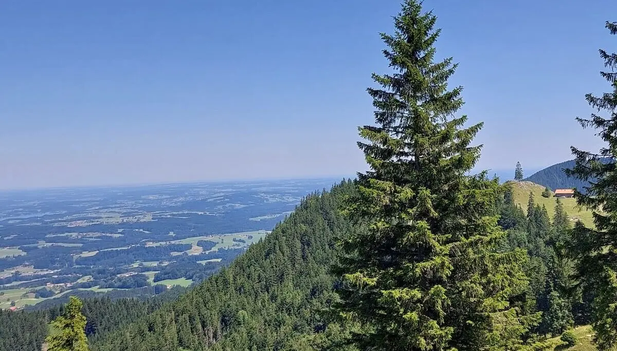 on einem Hang aus fällt der Blick über dichte Nadelbäume auf Felder, Wälder und Siedlungen unter klarem Sommerhimmel. | © DAV Markt Schwaben | Foto Hubert Inhofer