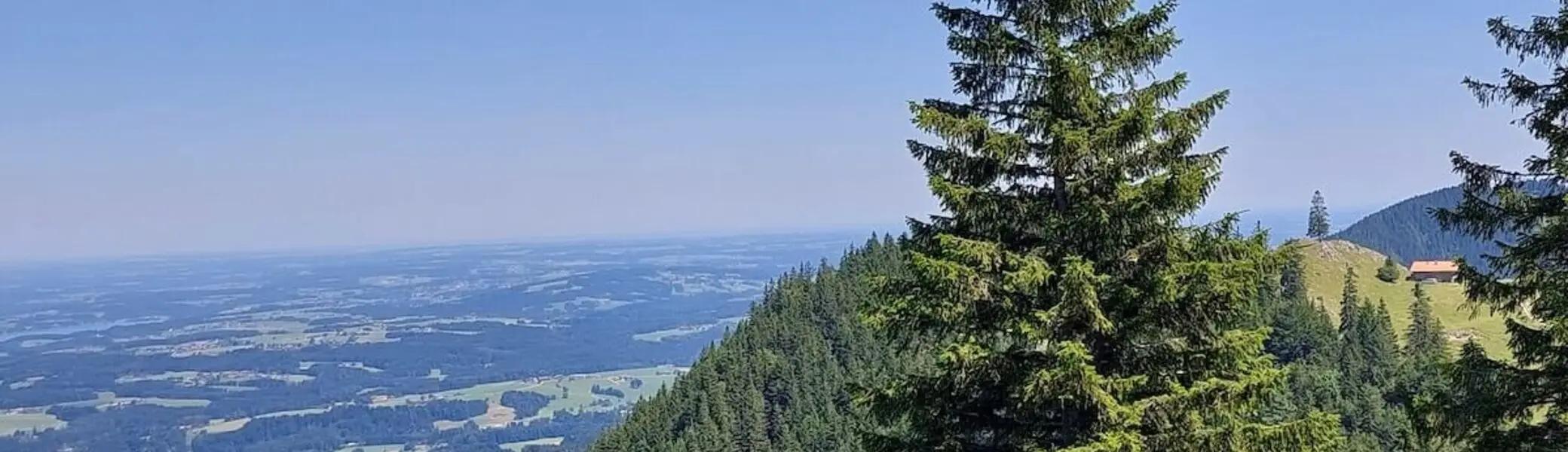 on einem Hang aus fällt der Blick über dichte Nadelbäume auf Felder, Wälder und Siedlungen unter klarem Sommerhimmel. | © DAV Markt Schwaben | Foto Hubert Inhofer