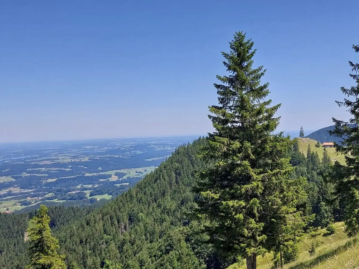 on einem Hang aus fällt der Blick über dichte Nadelbäume auf Felder, Wälder und Siedlungen unter klarem Sommerhimmel. | © DAV Markt Schwaben | Foto Hubert Inhofer
