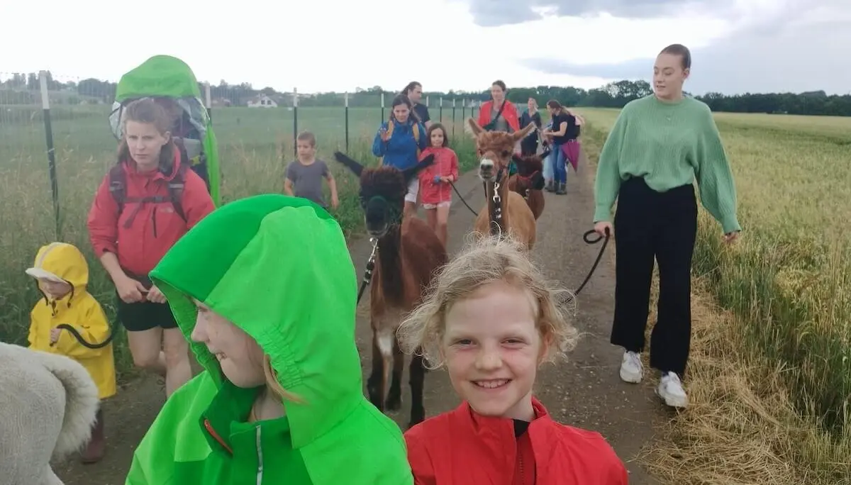 Mehrere Familien wandern mit Alpakas und einem Hund auf einem Feldweg. Kinder führen die Tiere bei bewölktem Himmel. | © DAV Markt Schwaben | Foto Veronika Lex