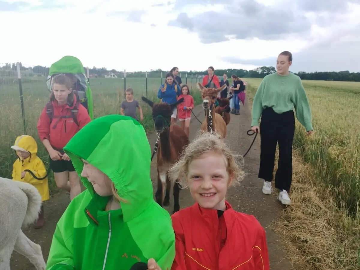 Mehrere Familien wandern mit Alpakas und einem Hund auf einem Feldweg. Kinder führen die Tiere bei bewölktem Himmel. | © DAV Markt Schwaben | Foto Veronika Lex