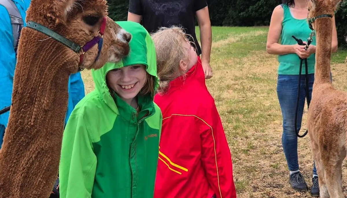 Zwei Alpakas stehen auf einer Wiese, umringt von Kindern und Erwachsenen. Die Gruppe streichelt die Tiere behutsam. | © DAV Markt Schwaben | Foto Veronika Lex