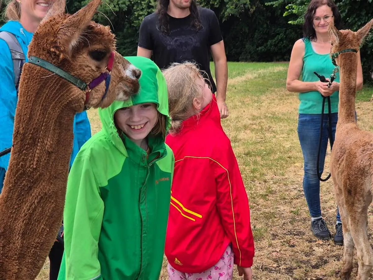 Zwei Alpakas stehen auf einer Wiese, umringt von Kindern und Erwachsenen. Die Gruppe streichelt die Tiere behutsam. | © DAV Markt Schwaben | Foto Veronika Lex