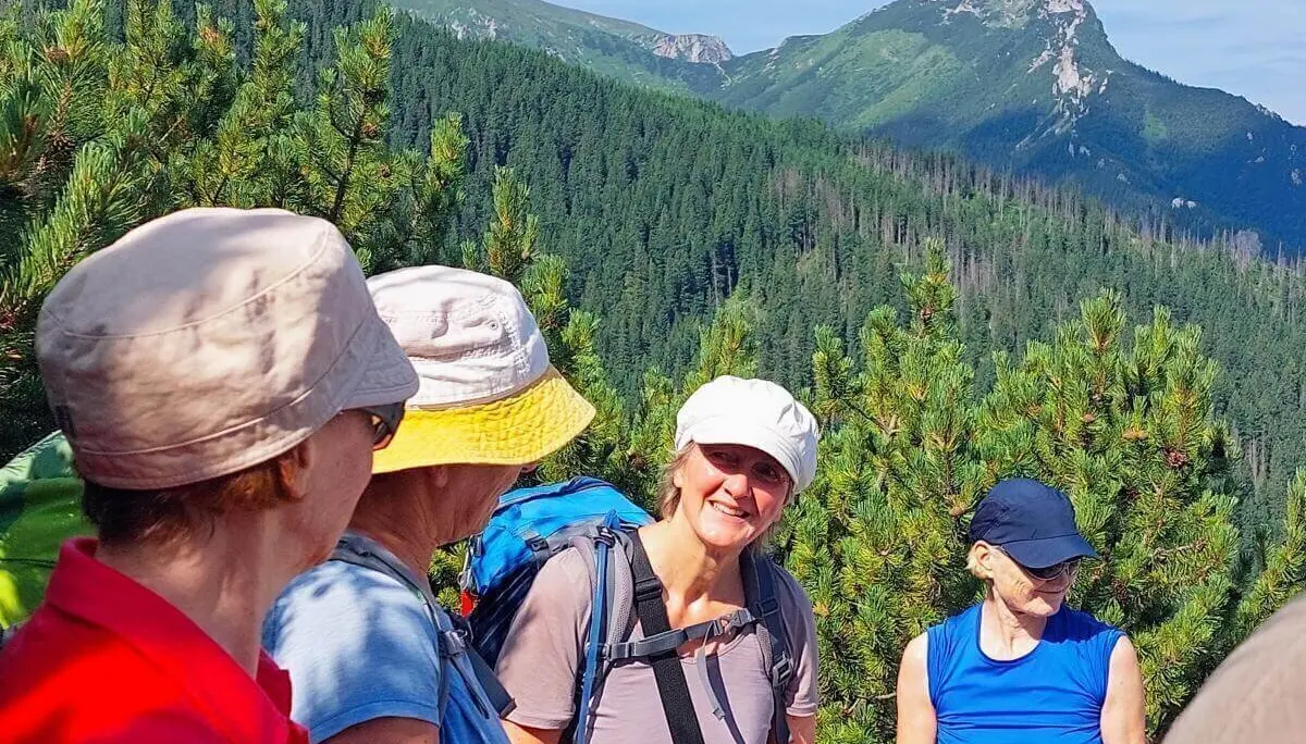 Fünf Wandernde stehen auf einem Waldpfad mit Blick auf bewaldete Berghänge und einen felsigen Gipfel bei sonnigem Wetter. | © DAV Markt Schwaben | Foto Lutz Gründel