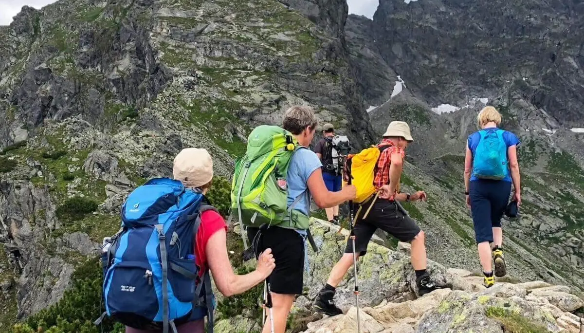 Vier Wandernde steigen mit Trekkingstöcken über steilen, felsigen Bergpfad; im Hintergrund schroffe Felsen und alpine Vegetation. | © DAV Markt Schwaben | Foto Hildegard Petschik