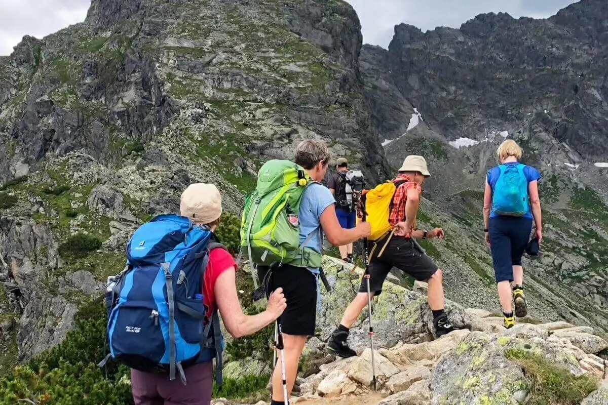 Vier Wandernde steigen mit Trekkingstöcken über steilen, felsigen Bergpfad; im Hintergrund schroffe Felsen und alpine Vegetation. | © DAV Markt Schwaben | Foto Hildegard Petschik