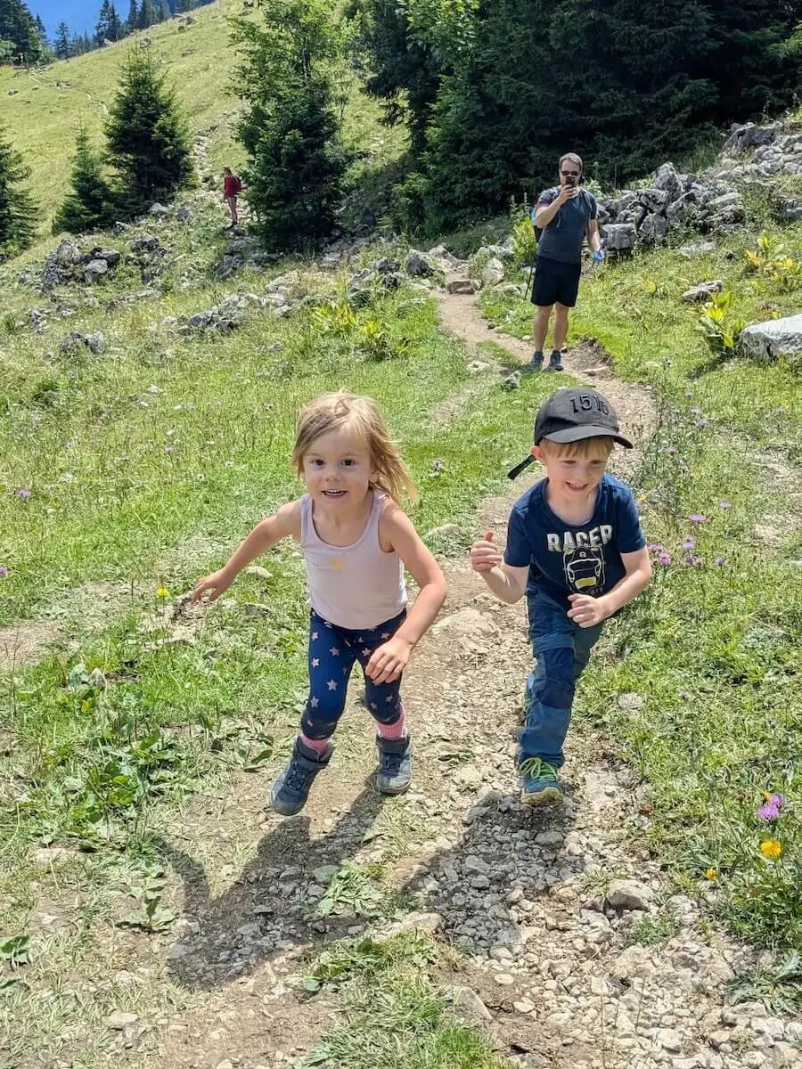 Zwei Kinder wandern über einen steinigen Pfad im Grünen. Im Hintergrund begleiten Erwachsene die Bergtour durch hügelige Landschaft. | © DAV Markt Schwaben | Foto Familiengruppe