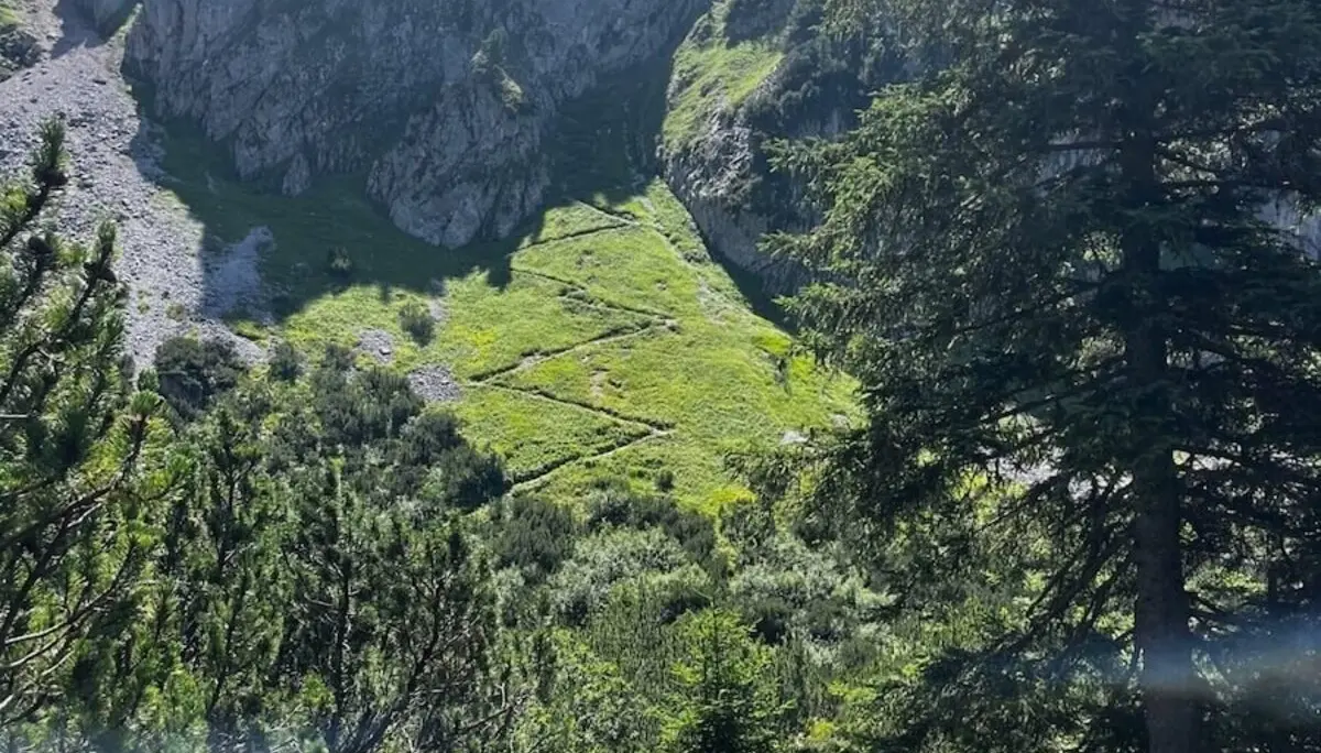 Ein Wanderweg schlängelt sich durch grüne Vegetation, im Hintergrund ragt die felsige Bischofsmütze unter klarem Himmel. | © DAV Markt Schwaben | Foto: Markus Sellmeier
