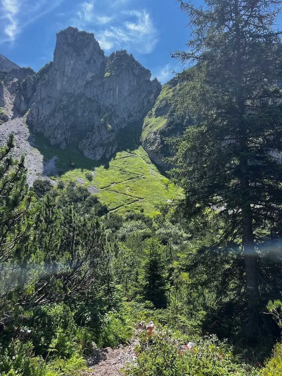 Ein Wanderweg schlängelt sich durch grüne Vegetation, im Hintergrund ragt die felsige Bischofsmütze unter klarem Himmel. | © DAV Markt Schwaben | Foto: Markus Sellmeier