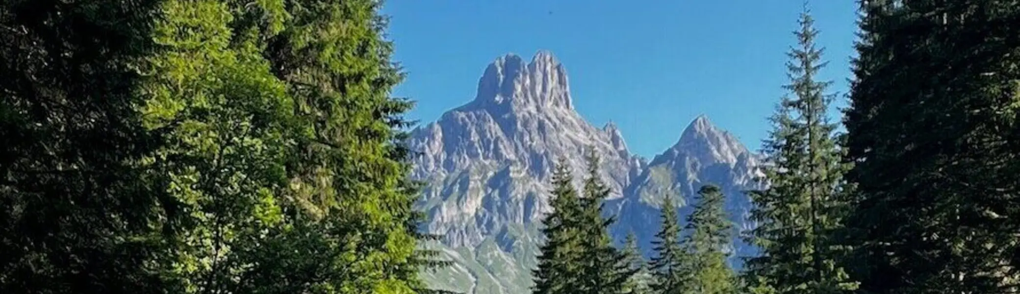 Eine Straße schlängelt sich durch Wald und Wiese, flankiert von einem Bach, im Hintergrund erhebt sich die Bischofsmütze im klaren Sommerlicht. | © DAV Markt Schwaben | Foto: Markus Sellmeier