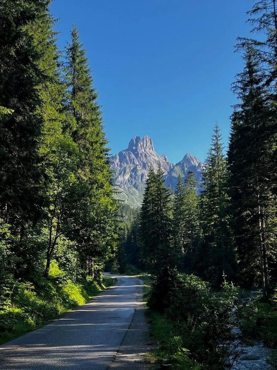 Eine Straße schlängelt sich durch Wald und Wiese, flankiert von einem Bach, im Hintergrund erhebt sich die Bischofsmütze im klaren Sommerlicht. | © DAV Markt Schwaben | Foto: Markus Sellmeier