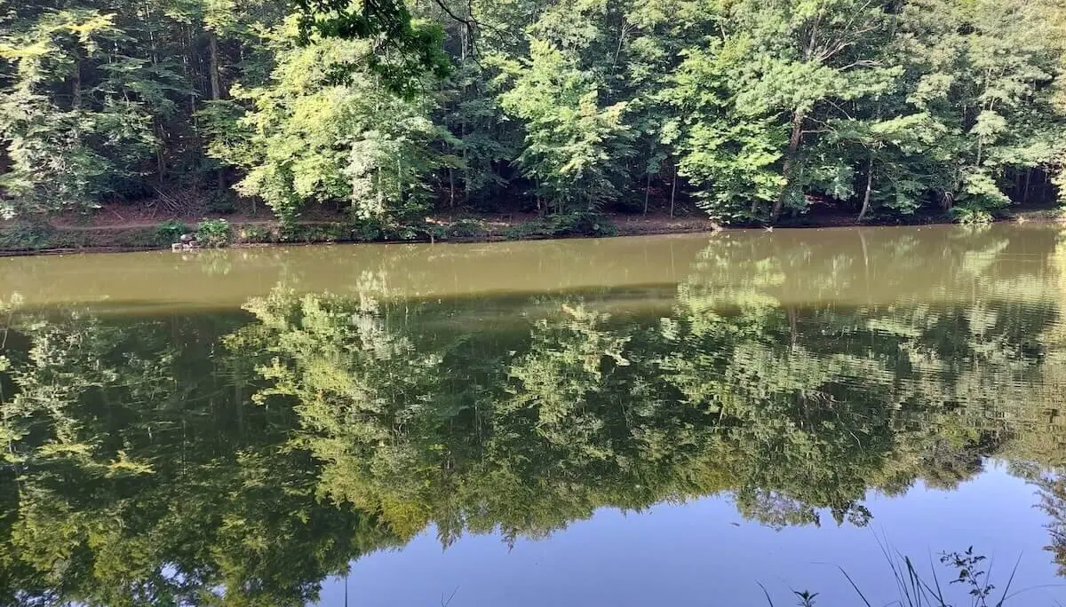 Blick auf den abgelegenen Spiegelweiher, umgeben von Wald und Wiesen | © DAV Markt Schwaben | Foto Hubert Inhofer