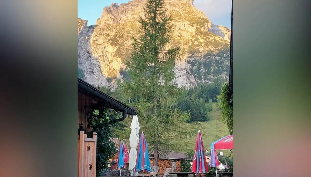 Holzbänke und bunte Schirme vor Bergkulisse mit Sonnenlicht auf Felswand, mittig eine hohe Tanne. | © DAV Markt Schwaben ·Foto: Lutz Gründel