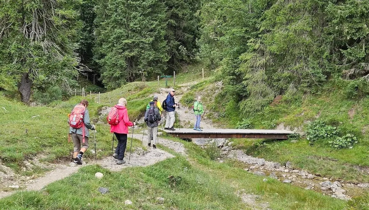 Sechs Wandernde überqueren eine schmale Holzbrücke über einen Bachlauf im Wald – umgeben von Wiesen und Nadelbäumen. | © DAV Markt Schwaben | Foto Hubert Inhofer